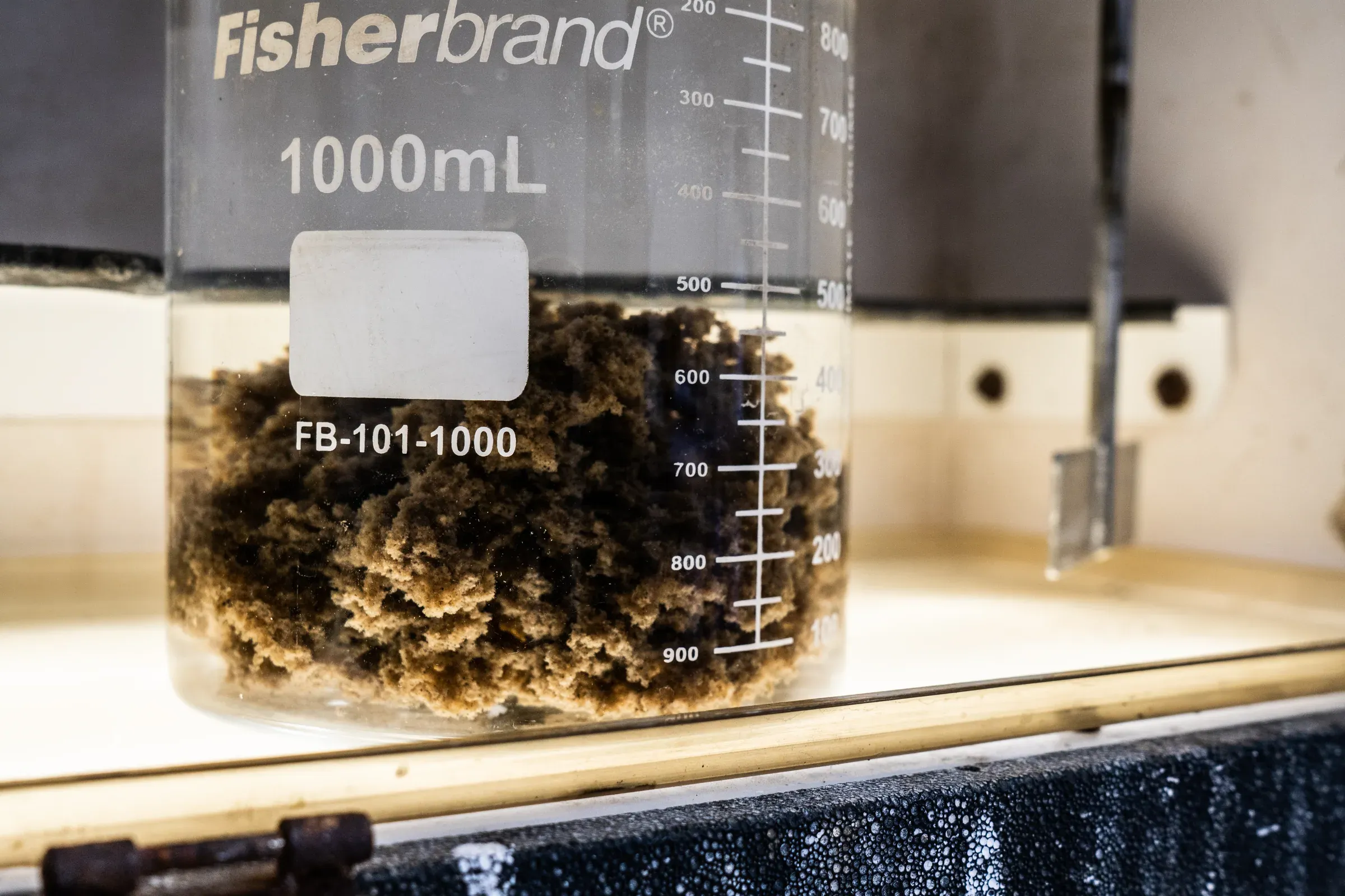 Settled brown floc filling the base of a 1000 mL jar-test beaker on a lit lab bench